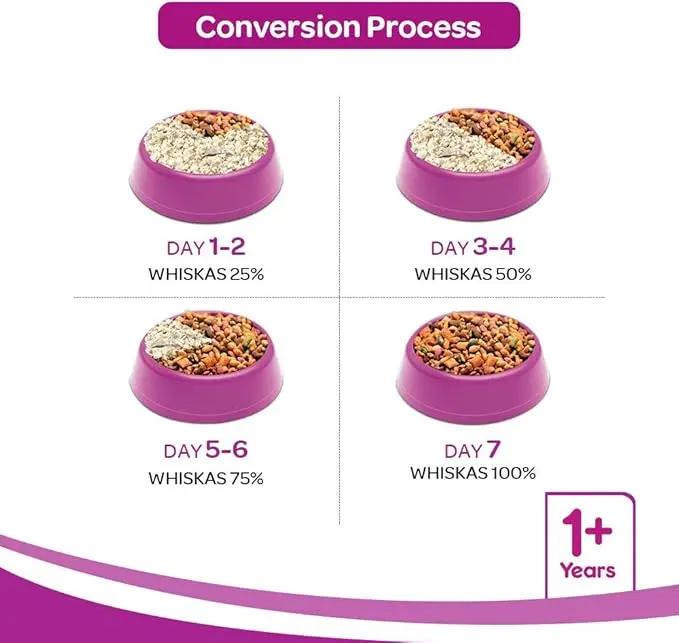 Whiskas Adult (+1 year) Dry Cat Food, Ocean Fish Flavour, 1.2kg Pack Pets971.com