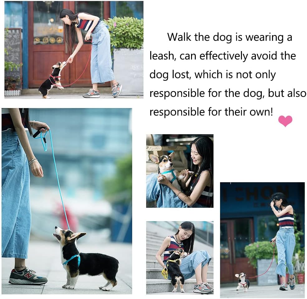 Dog Harness,Dog Collar and Dog Leash Set,Adjustable Lightweight Pet Harness & Leash,Soft Walking Travel Petsafe Harness,Suitable for Medium and Small Cat and Dogs