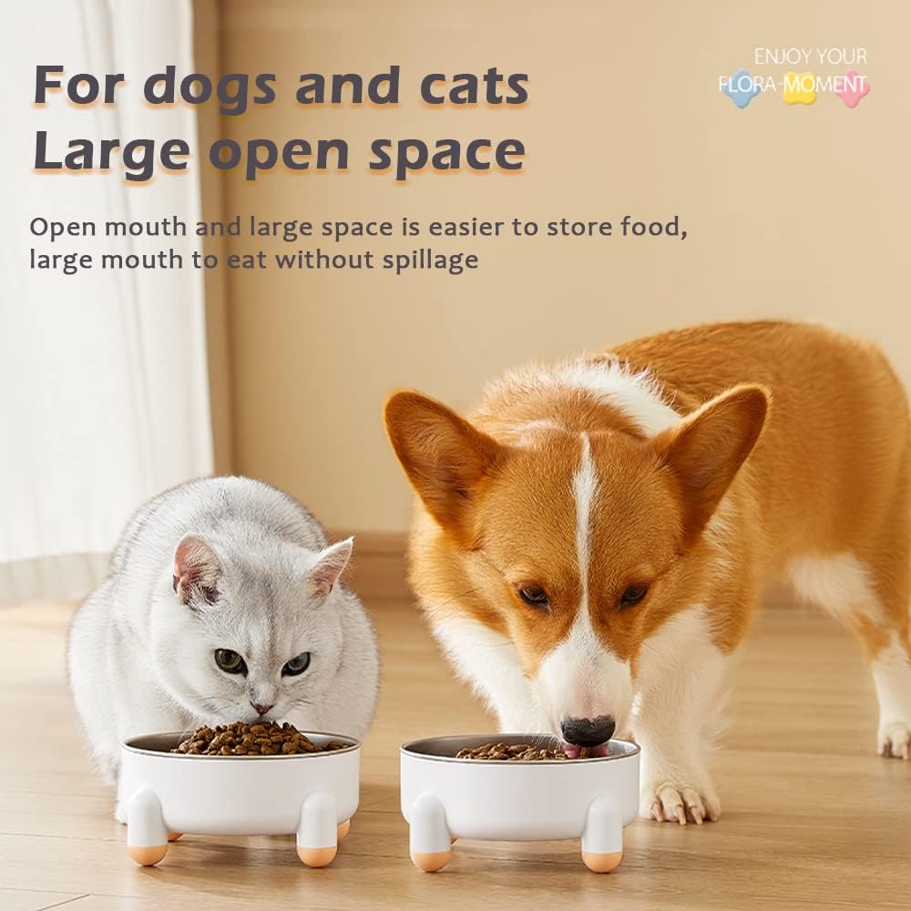 Cat Stainless Steel Bowl, Tall Whiplash-Protected Spill-Proof Pet Bowl, Removable Ceramic Water Bowl Food Bowl