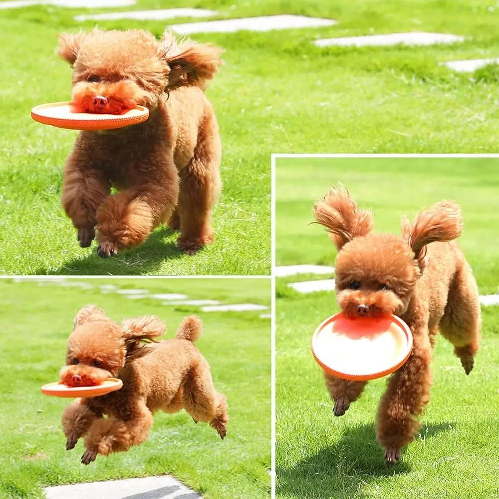 Dog Frisbee Dog Toy Soft Frisbee Dual purpose Sport Outdoor Interactive Dog Toys for Large Dogs Outdoor Interactive Throwing Toy Pets971.com