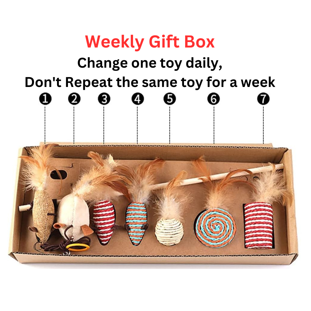 7-pcs Cat Feather Toy Set