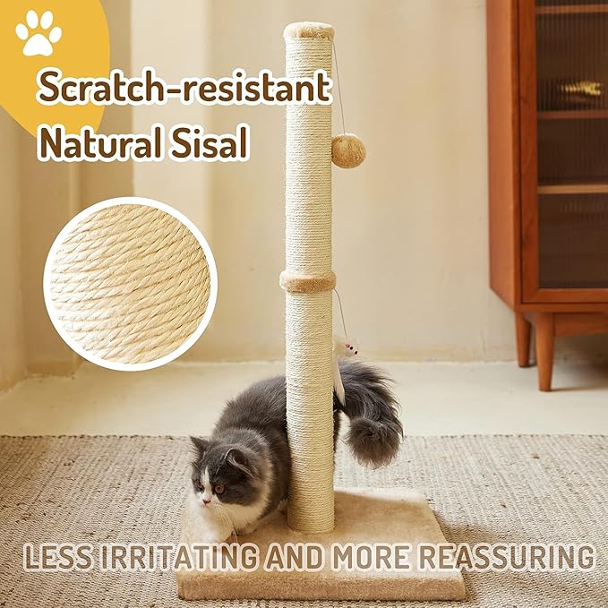 Cat Scratching Post for Indoor Cats,Cat tree with Sisal Rope Durable,Cat Scratcher with Hanging Ball and Mouse Toy (32 inches/80cm Tall, Beige)