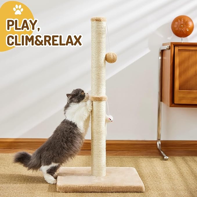Cat Scratching Post for Indoor Cats,Cat tree with Sisal Rope Durable,Cat Scratcher with Hanging Ball and Mouse Toy (32 inches/80cm Tall, Beige)