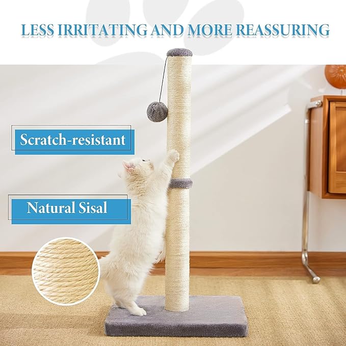 Cat Scratching Post for Indoor Cats,Cat tree with Sisal Rope Durable,Cat Scratcher with Hanging Ball and Mouse Toy (32 inches/80cm Tall, Grey)