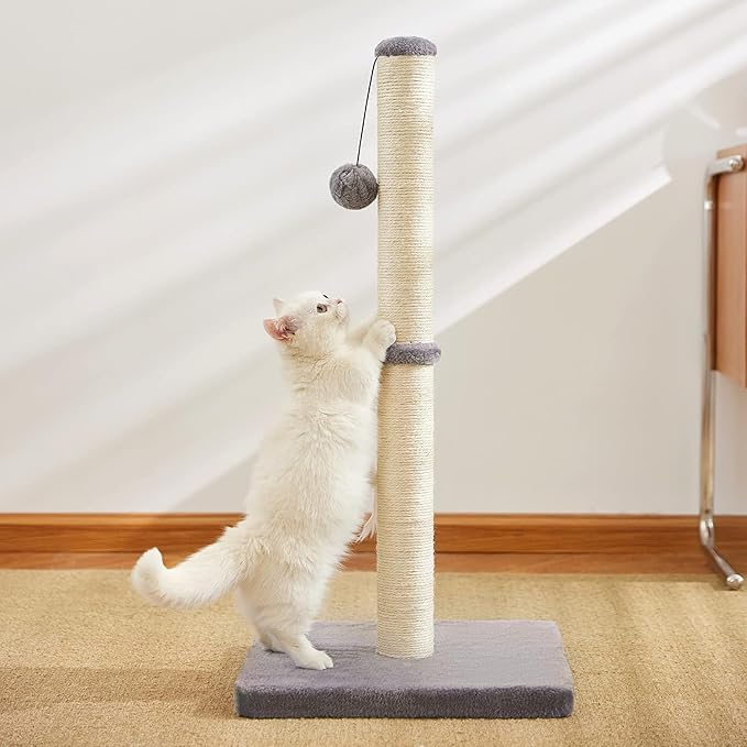 Cat Scratching Post for Indoor Cats,Cat tree with Sisal Rope Durable,Cat Scratcher with Hanging Ball and Mouse Toy (32 inches/80cm Tall, Grey)