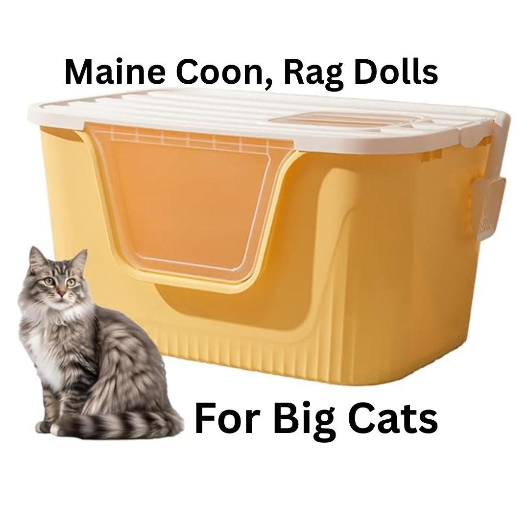 BIG CAT Litter Box,78.5 * 54.5 * 40.9cm Open Splash Proof High Side Litter Box, Better for Multi-Cat Households, Pet Safe Coating, Easier to Clean and More Sanitary (Yellow)