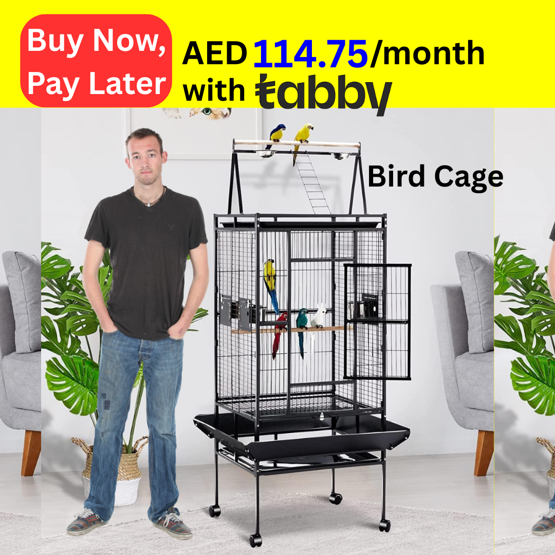 Bird Cage Large Size 81L x 76W x 173H centimeters