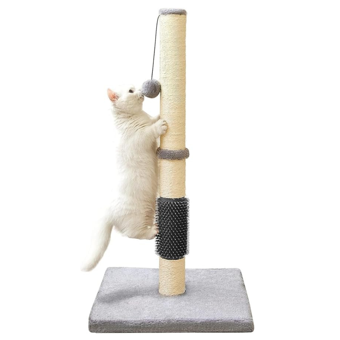 Cat Scratching Post with Massage brush for Indoor Cats, Cat tree with Sisal Rope Durable,Cat Scratcher with Hanging Ball and Mouse Toy (32 inches/80cm Tall, Grey with Massage Brush)