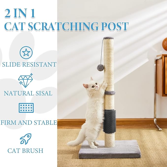 Cat Scratching Post with Massage brush for Indoor Cats, Cat tree with Sisal Rope Durable,Cat Scratcher with Hanging Ball and Mouse Toy (32 inches/80cm Tall, Grey with Massage Brush)