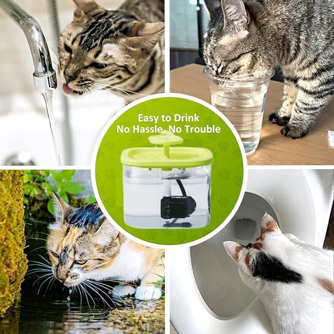 Cat Water Dispenser 1L, Cat Water Fountain, Ultra Quiet Pet Water Dispenser, Intelligent Pet Water Dispenser with Automatic Circulation Filtration, Suitable for Cats, Dogs and Other Pets Water dispenser Green