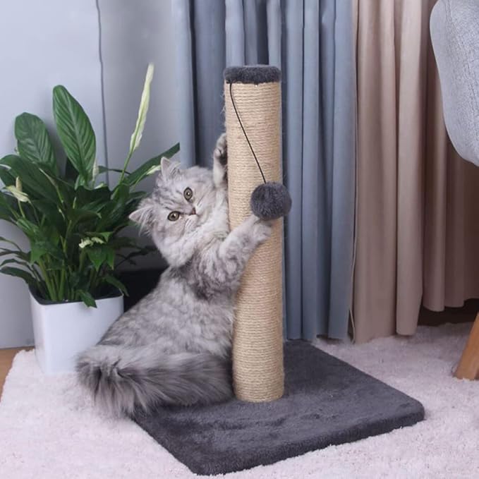 Scratching Post for Kittens - Indoor Cat Tower With Natural Sisal Board and Magic Ball (Magic Ball Scratching Post)