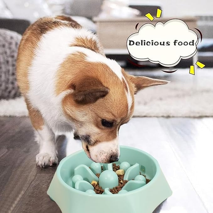 Slow Feeder Dog Bowls, Food and Water Slow Bowl, Puppy Bowl, Perfect for Medium Small Dogs and Cats (Hexagon)