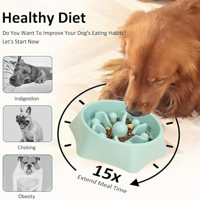 Slow Feeder Dog Bowls, Food and Water Slow Bowl, Puppy Bowl, Perfect for Medium Small Dogs and Cats (Hexagon)