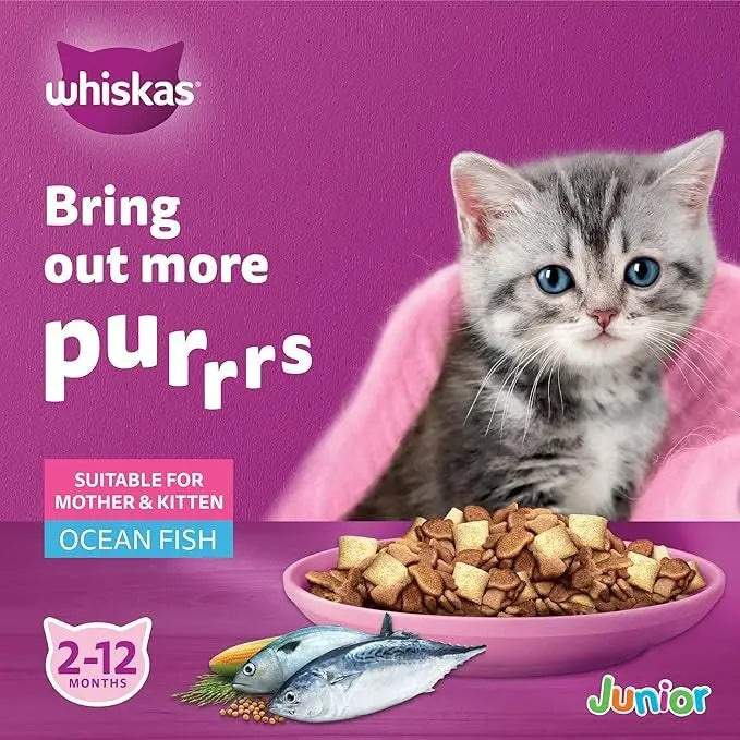 Whiskas Kitten Ocean Fish Flavor with Milk Dry Kitten Food, Bag of 1.1Kg, for Mothers and Kittens, Prebiotics and Colostrum Pets971.com