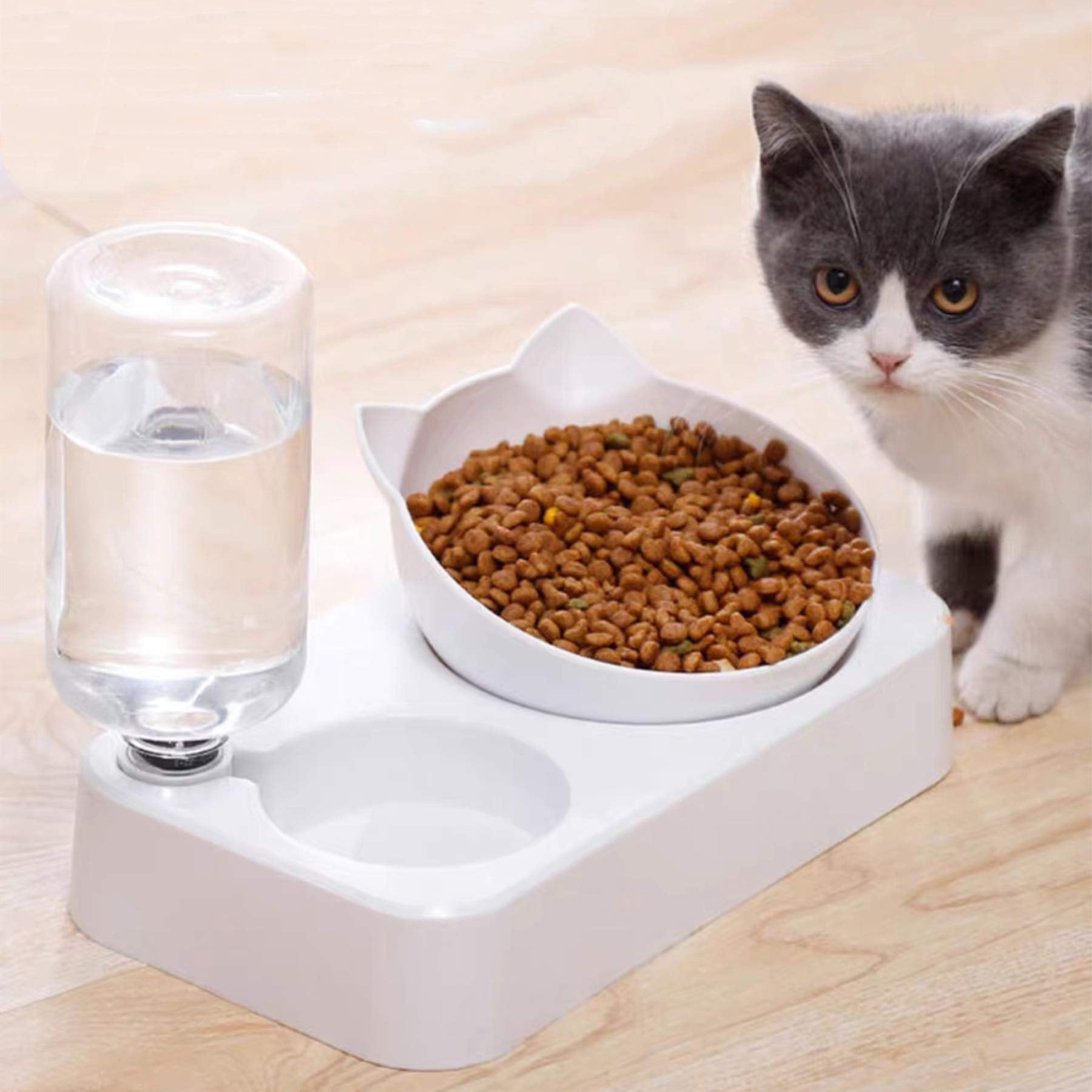 Cat Feeder & Drinker