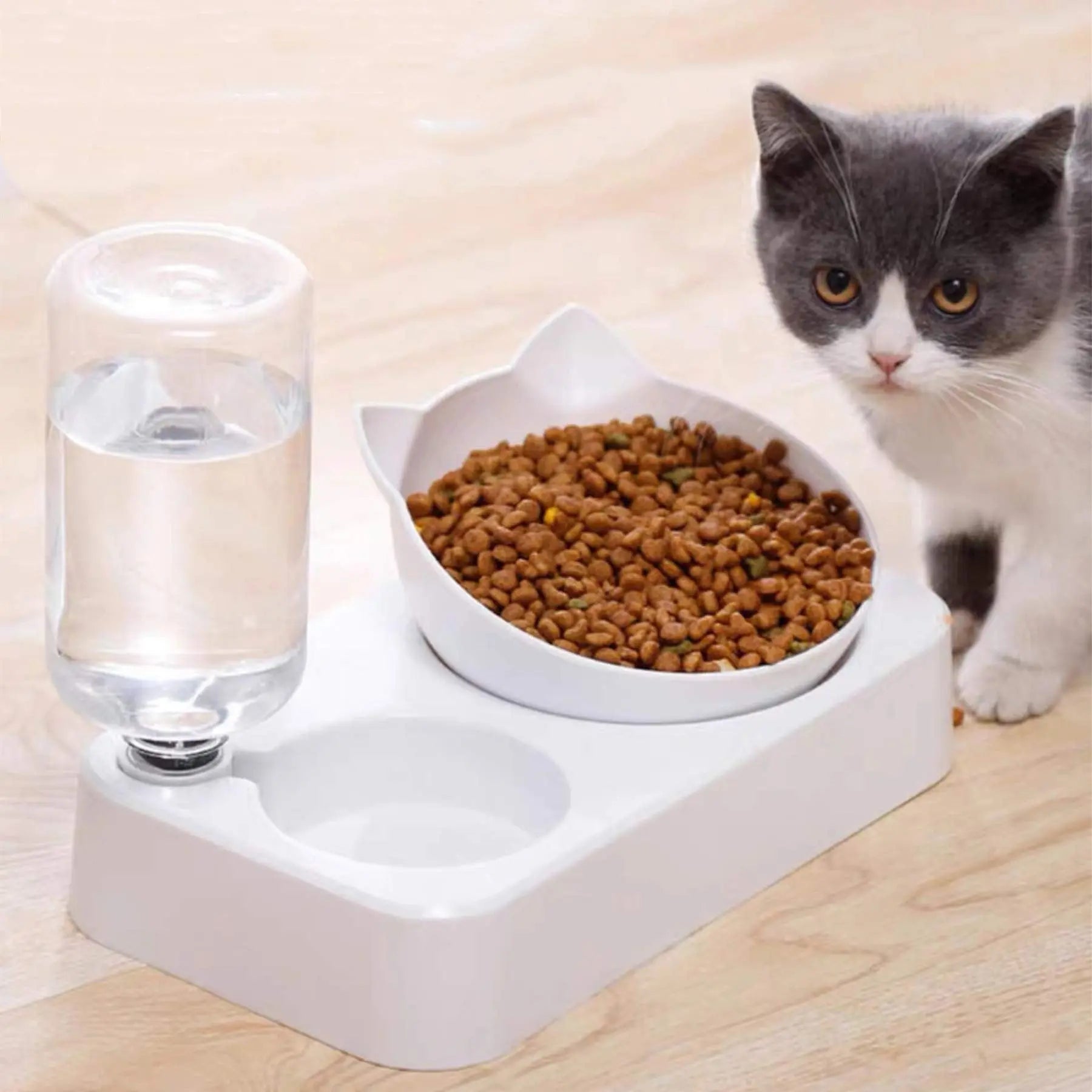Cat Feeder & Drinker - Pets971.com