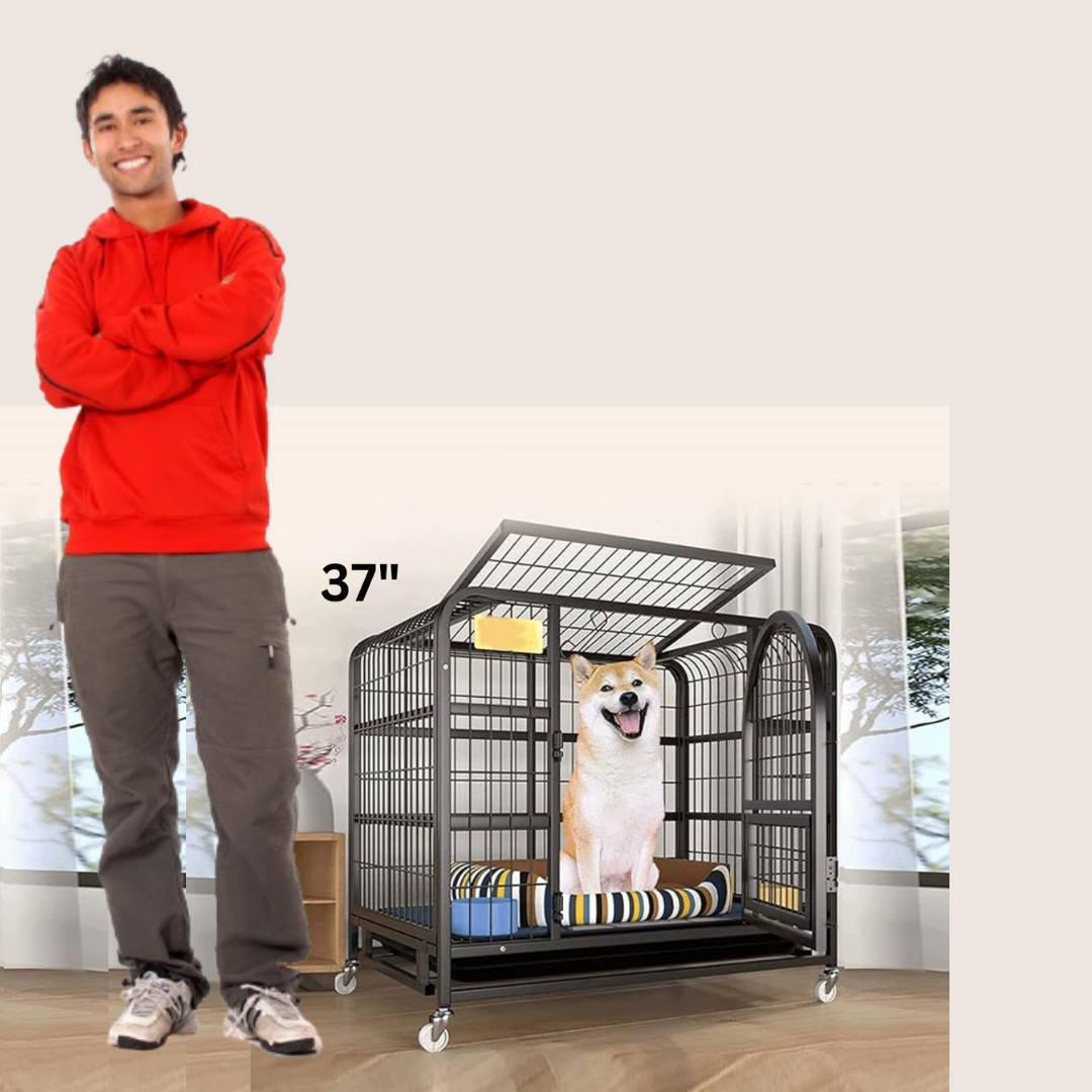 37inch Dog Cage with Removable Tray & Lockable Wheels (Size 95x65x85cm)