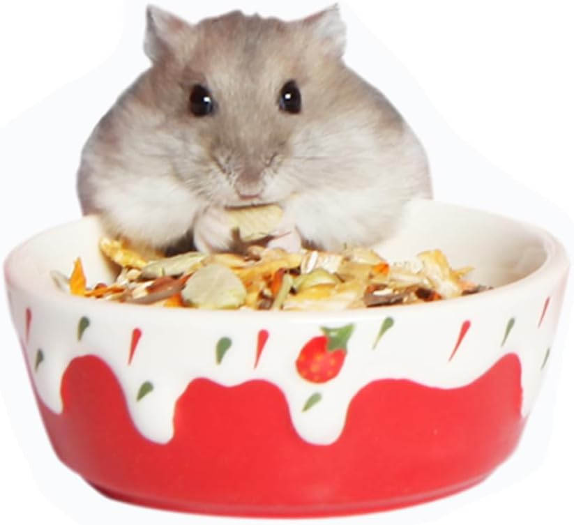 Hamster Ceramic Food Bowl, Small Animal Feeding Dishes, for Hamster Dwarf Syrian Gerbil Mice Degu Chipmunk Squirrel Hedgehog (M, Red strawberry)