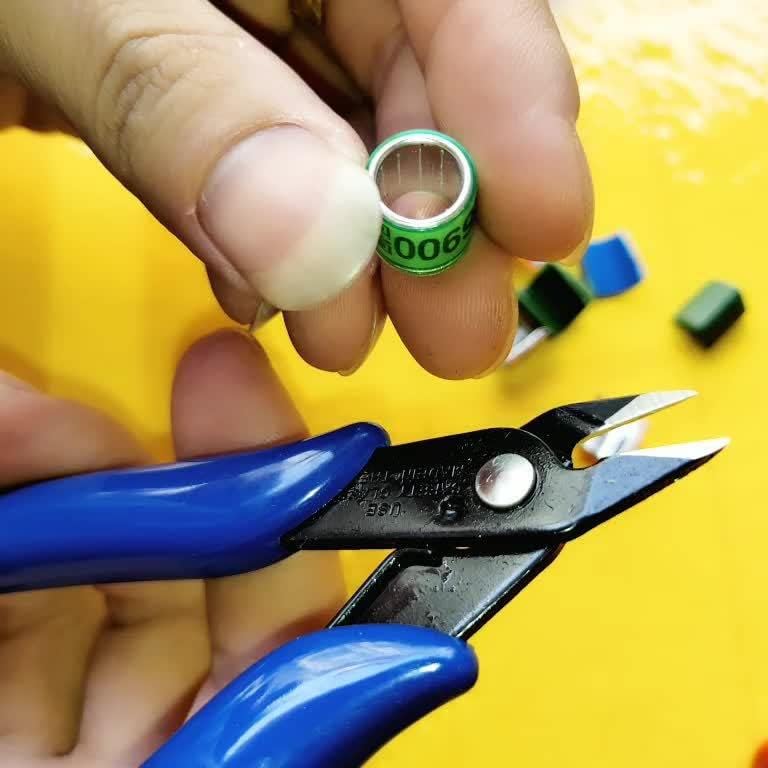 قاطعة أرجل الطيور للحمام والدواجن