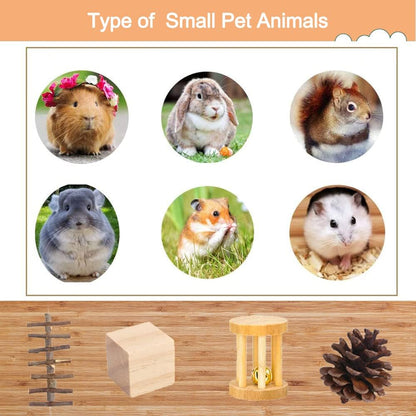 Hamster Chew Toys Set,Hamster Fun Tunnel,Small Animal Combo Apple Wood Activity Toys,Hamster Accessories,Toys for Guinea Pigs,Rabbits,Chinchilla,Ferrets,Rats