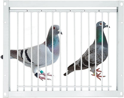 Pigeon Trap Door 30x26cm