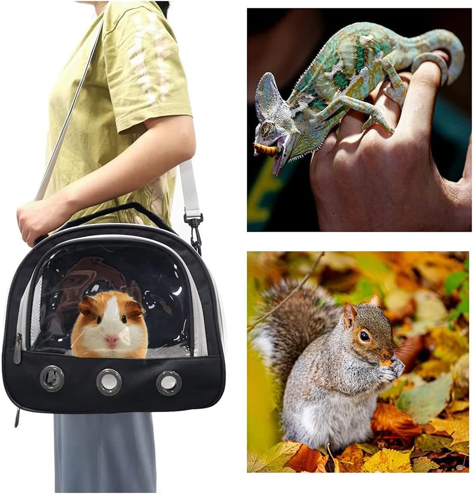 Guinea Pig Carrier, Go Out Portable Small Animal Hamster Backpack, Transparent and Breathable Foldable Guinea Pig Rabbit Bird Small Animal Travel Carrier Outdoor Hangbag (black)