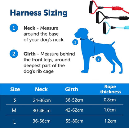 Dog Harness,Dog Collar and Dog Leash Set,Adjustable Lightweight Pet Harness & Leash,Soft Walking Travel Petsafe Harness,Suitable for Medium and Small Cat and Dogs
