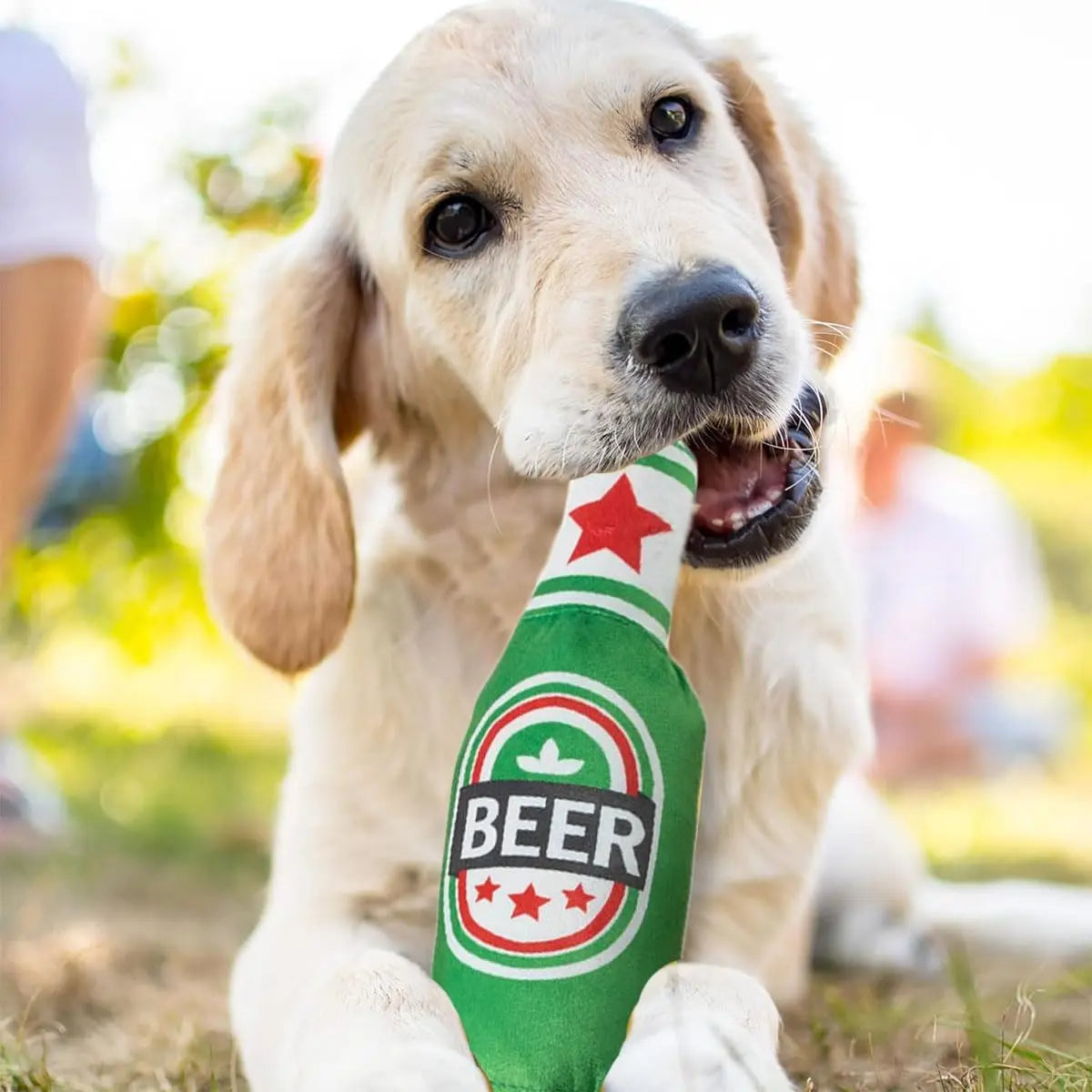 3 Pcs Pet Squeak Toys,Funny Plush Squeaky Toys for Dogs and Cats,Beer Bottle Plush Dog & Cat Squeak Toy,Cat Catnip Toys,Presents for Pets Pets971.com