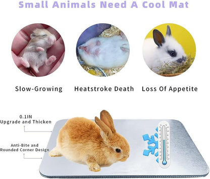 Hamster Cooling Pad, Ceramic Crystal Cooling Plate Pet Cooling Mat, Anti-bite Easy to Clean Ice Pad for Hamsters Rabbits and Other Small Pets