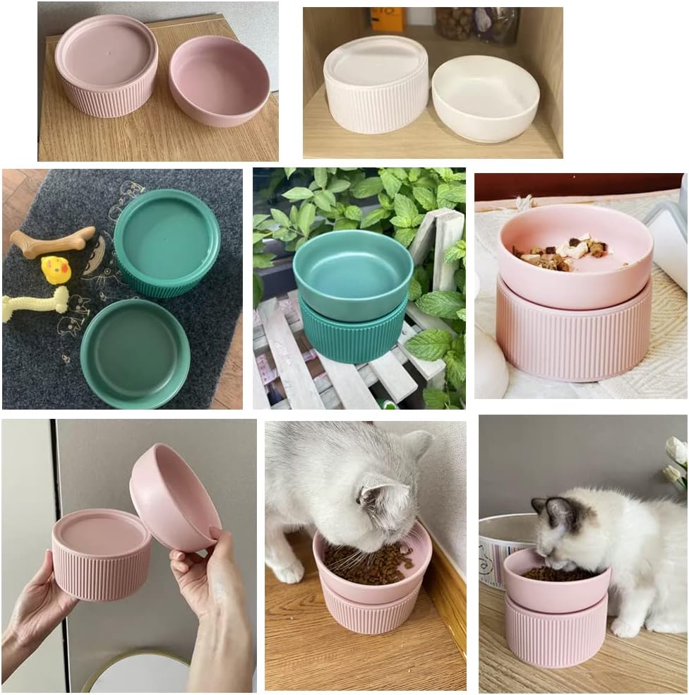 Ceramic Cat Bowl, Tall To Protect The Cervical Spine Anti-Spill Pet Bowls, Detachable Ceramic Water Bowl Food Bowl