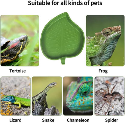 وعاء طعام وماء على شكل أوراق الزواحف، قطعتان من وعاء الماء للشرب والأكل للحيوانات الأليفة الصغيرة، مقاسان مناسبان للزواحف الصغيرة مثل السلاحف والسحالي 