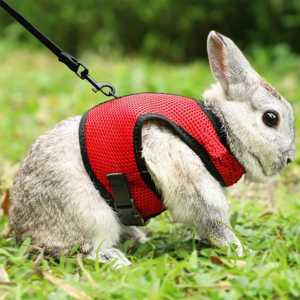 حزام أرنب، سترة شبكية قابلة للتمدد وقابلة للتعديل وجيدة التهوية، مضادة للجري والمشي للحيوانات الأليفة الصغيرة (بدون مقود)