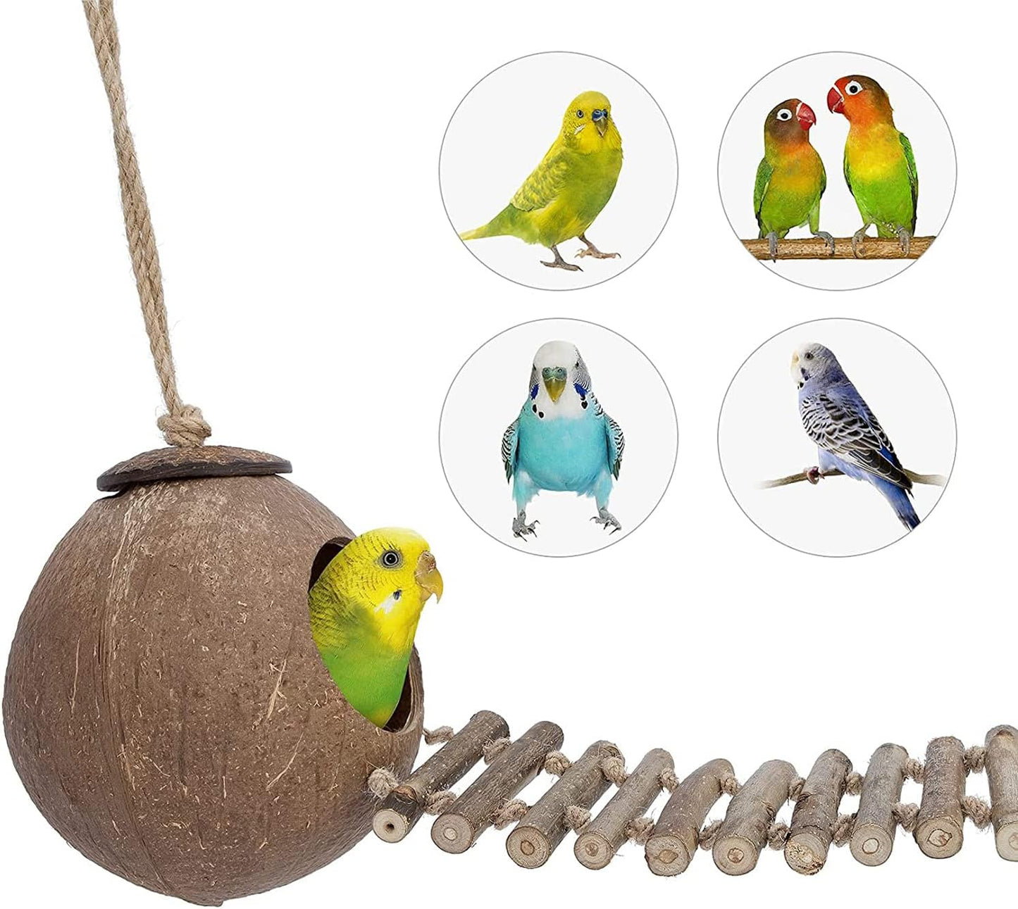 Coconut Bird Nest Hut with Ladder,parakeet nesting,bird house,bird ladder,bird cage accessories,for Parrots Parakeet Conures Cockatiel and other small animals