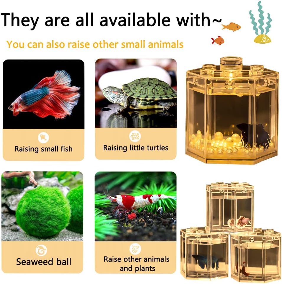 Mini Betta Fish Tank,Small Transparent Fish Bowl Aquarium Stackable Tank,Ant Feeding Case Mini Reptile Row Box