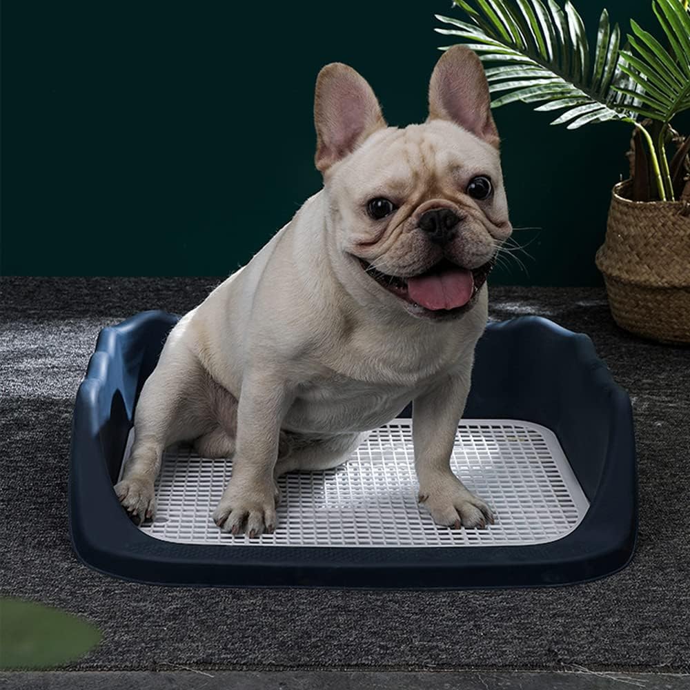 Indoor Dog Potty Tray,Puppy Toilet,Grid Puppy potty Training Litter Box with Non-Spill Simulator Post and Protective Wall,Easy to Clean Removable (Dark Blue (53 * 45 * 15)