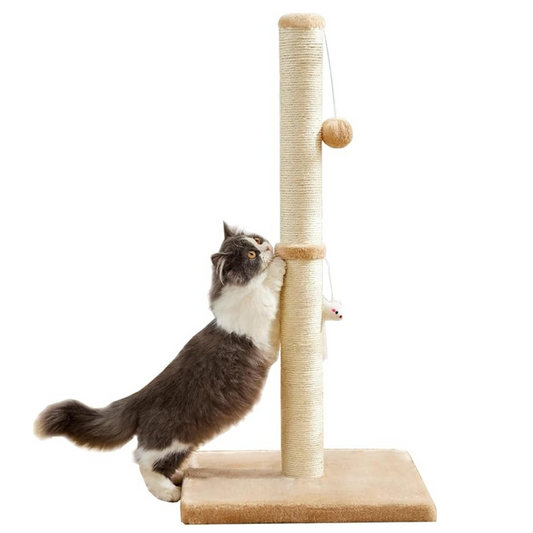 Cat Scratching Post for Indoor Cats,Cat tree with Sisal Rope Durable,Cat Scratcher with Hanging Ball and Mouse Toy (32 inches/80cm Tall, Beige)