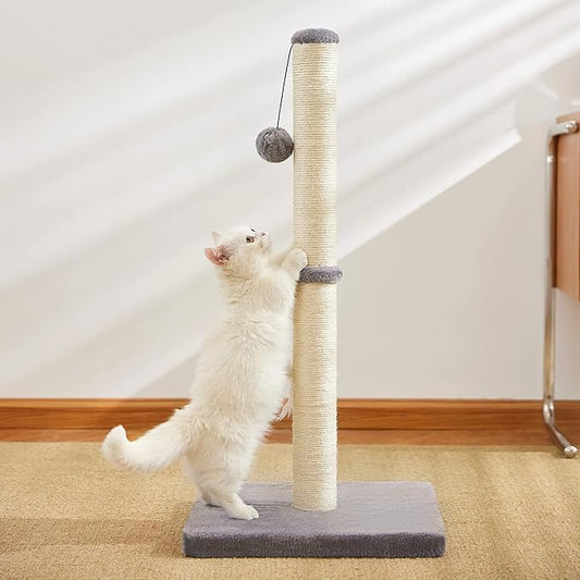 Cat Scratching Post for Indoor Cats,Cat tree with Sisal Rope Durable,Cat Scratcher with Hanging Ball and Mouse Toy (32 inches/80cm Tall, Grey)