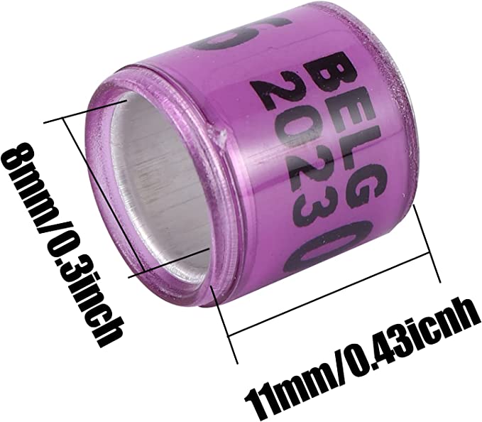 أربطة أرجل الحمام BELG 2023، عبوة من 10 قطع - حلقات أرجل الحمام