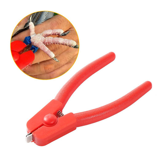 فتاحة أرض ساق الطائر - ليست قاطعة