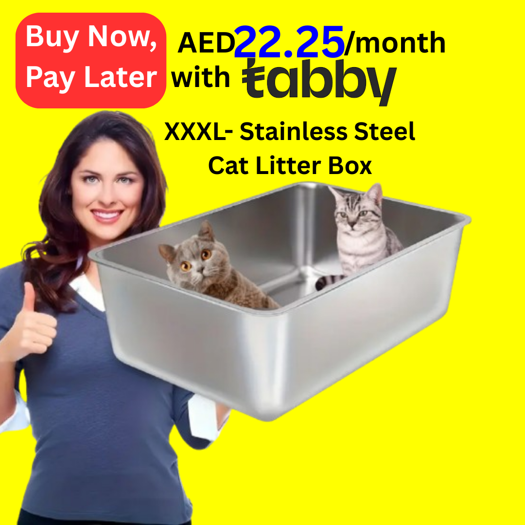 XXXL Cat Litter Box Stainless Steel 60X40X20cm