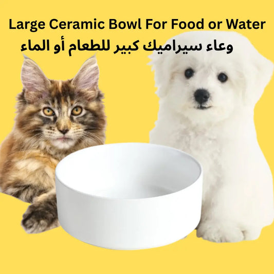 Large Ceramic Pet Bowl for Cats & Dogs – Food & Water Bowl, Lead-Free, Cadmium-Free, Whisker-Friendly, Microwave Safe Pets971.com