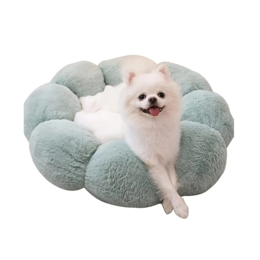 Green Plush Pet Bed Medium 53.79cm – Ultra Soft Synthetic Fur Dog & Cat Bed with PP Cotton Filling | Comfortable Breathable Pet Cushion UAE
