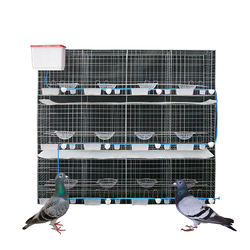 قفص تربية الحمام بثلاث طبقات لـ 12 زوجًا