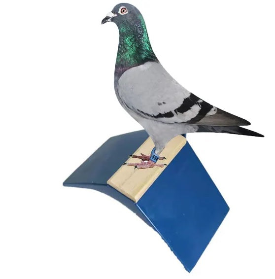 مجثم حمامة بلاستيكي بقاعدة خشبية 