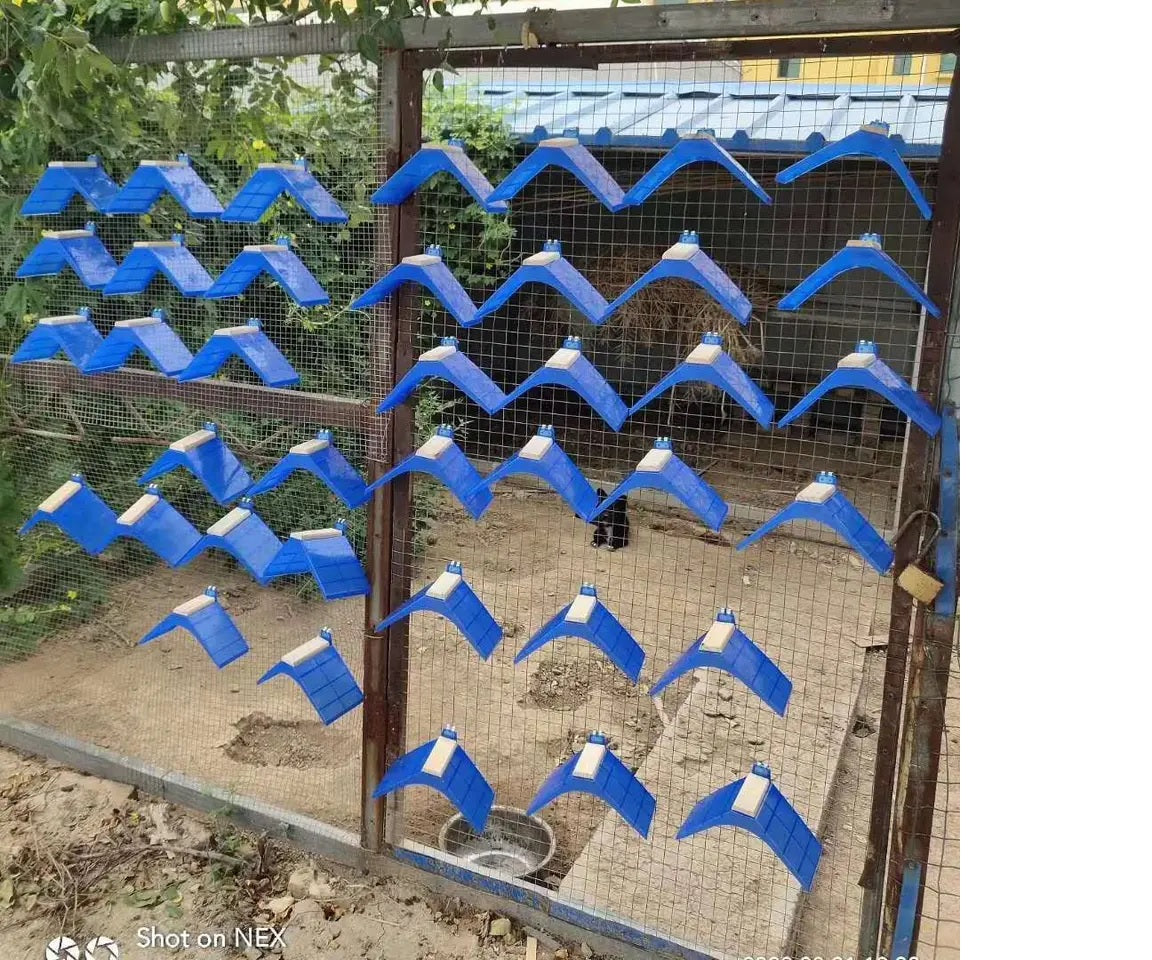 مجثم حمامة بلاستيكي بقاعدة خشبية 