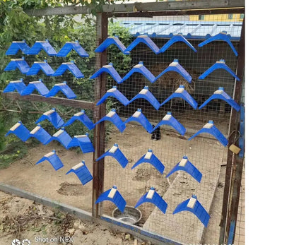 مجثم حمامة بلاستيكي بقاعدة خشبية 