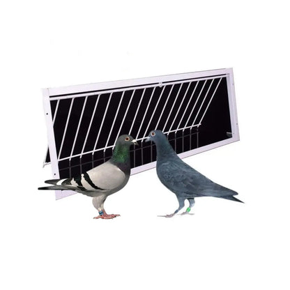 Large Pigeon Loft T-Trap Door L100cm*H26cm Pets971.com