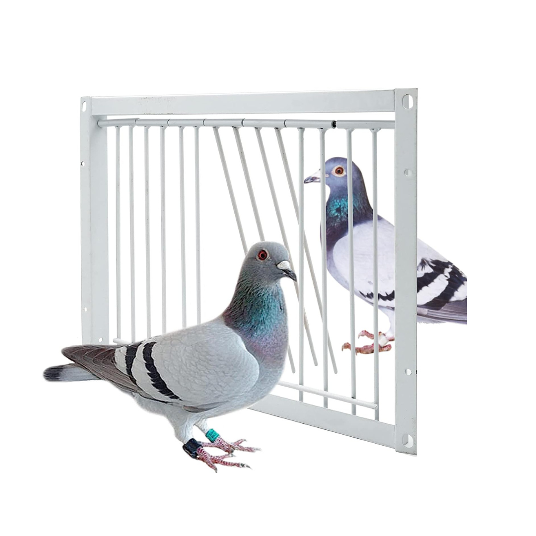 Pigeon Trap Door 30x26cm