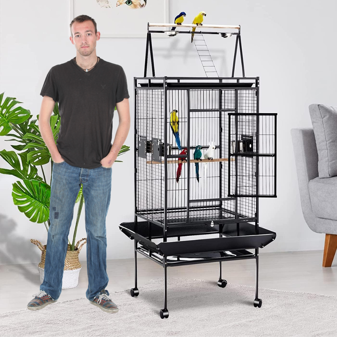 Bird Cage Large Size 81L x 76W x 173H centimeters – Pets971.com