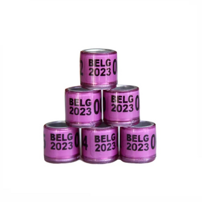 أربطة أرجل الحمام BELG 2023، عبوة من 10 قطع - حلقات أرجل الحمام